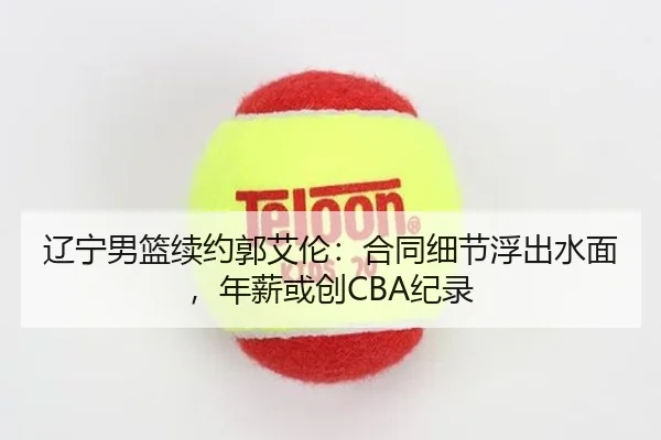 辽宁男篮续约郭艾伦：合同细节浮出水面，年薪或创CBA纪录