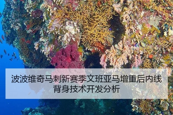 波波维奇马刺新赛季文班亚马增重后内线背身技术开发分析
